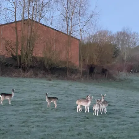 La Bulle Bien Belge Avec Jacuzzi * Lasne