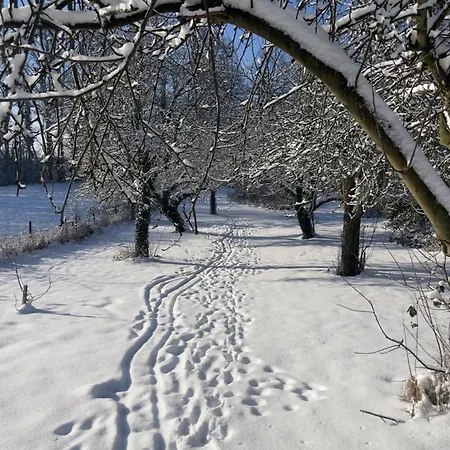 La Bulle Bien Belge Avec Jacuzzi Luxury tent *