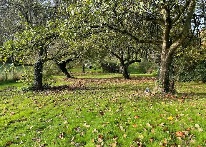 La Bulle Bien Belge Avec Jacuzzi *